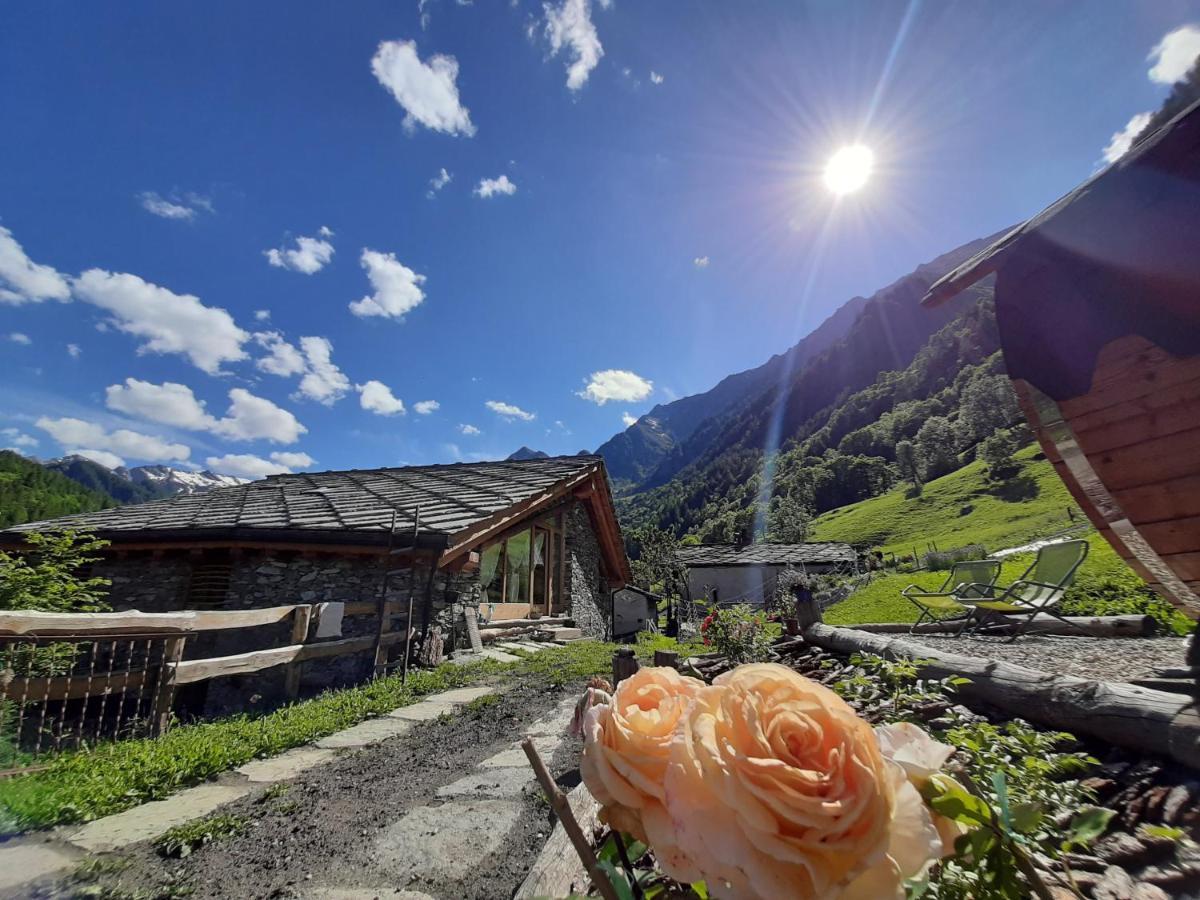 Casalpaca B&B Con Sauna A Prali Villa Eksteriør billede